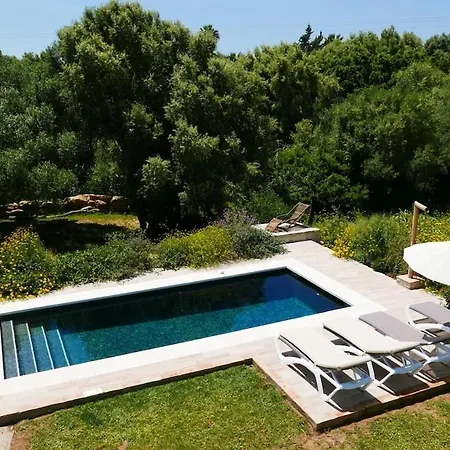 Casa Alea